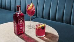 Обои bramble, gin, напиток, алкоголь, алкогольный, джин, бутылка, элитный, бренд, ягода, ягодный, британский, бокал, рюмка, bombay saphire, ежевика, лимон на рабочий стол.