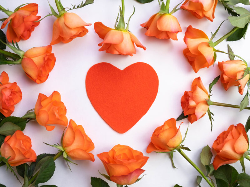 Обои roses, heart, love на рабочий стол.