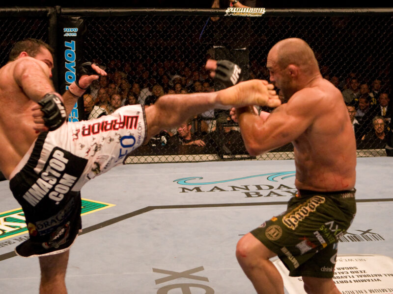 Спортивный, MMA, UFC